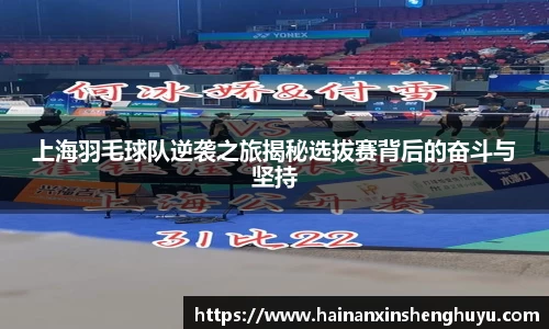 BB贝博官网